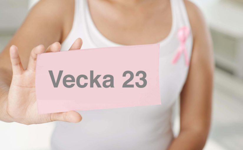 Gravid vecka 23