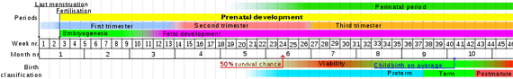 Yläosa 45+ imagen graviditetsuträknare vilken vecka