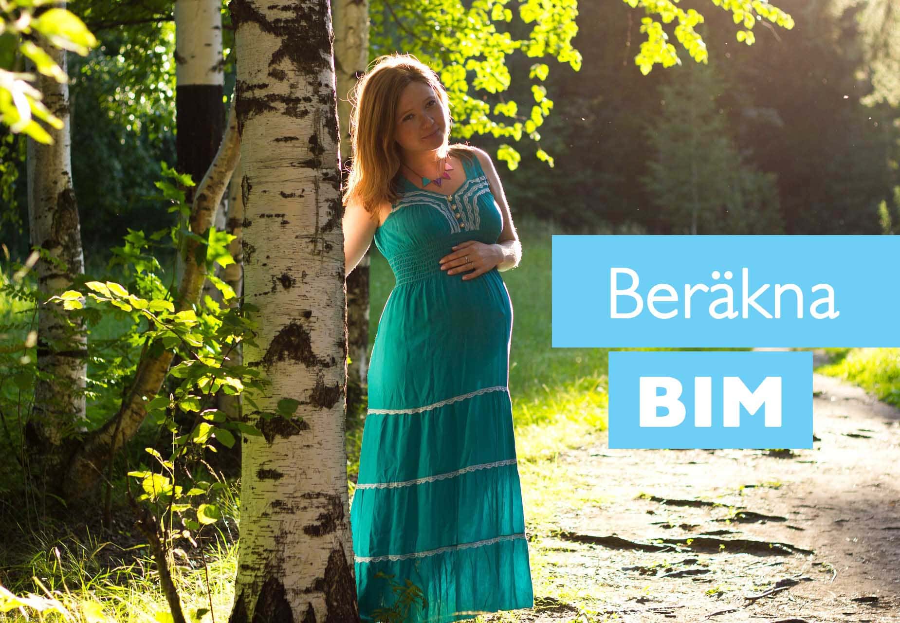 Gravid kvinna BIM