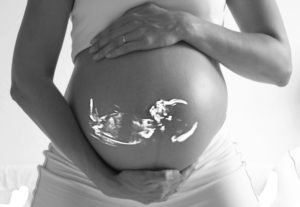 gravid ultraljud